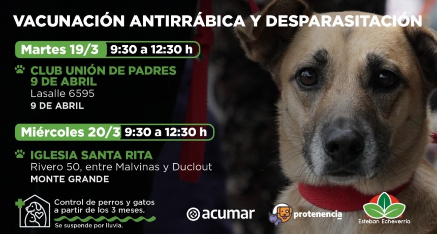 Vacunación Antirrábica y Desparasitación en Monte Grande