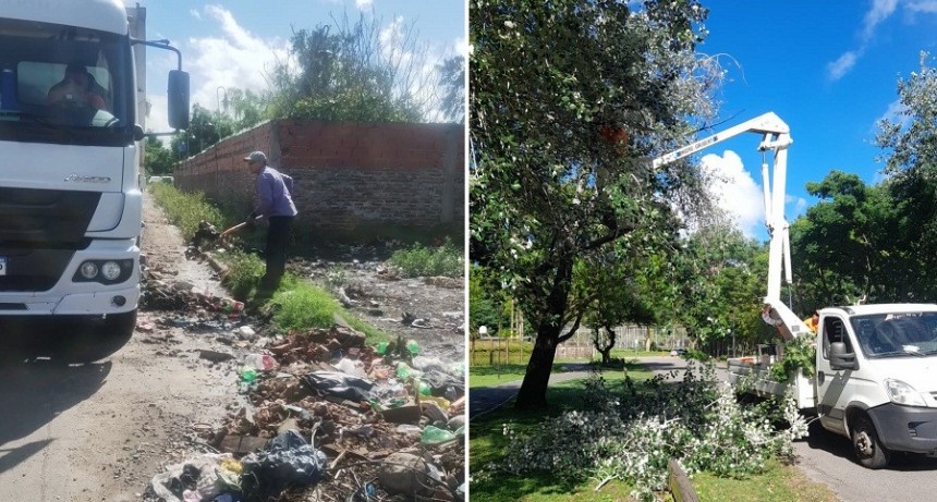En Zárate, el área de Servicios Públicos realiza acciones de limpieza urbana