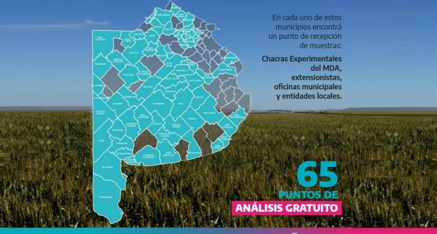 Renuevan el programa que analiza la calidad del trigo de la provincia de Bs. As.